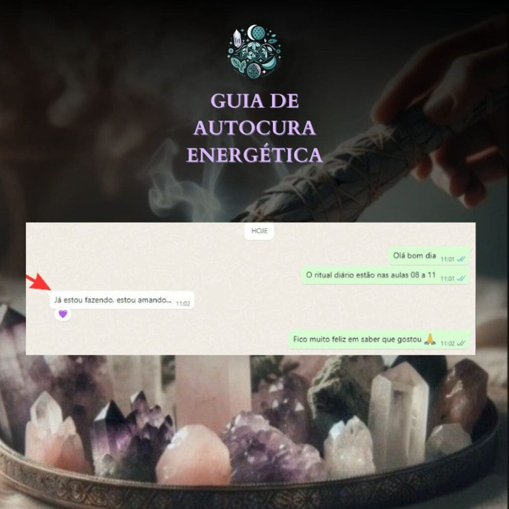 Relato de aluno 12